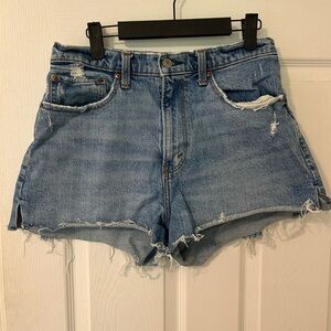 Abercrombie & Fitch Curve Love The Mom Short Size 30/10
